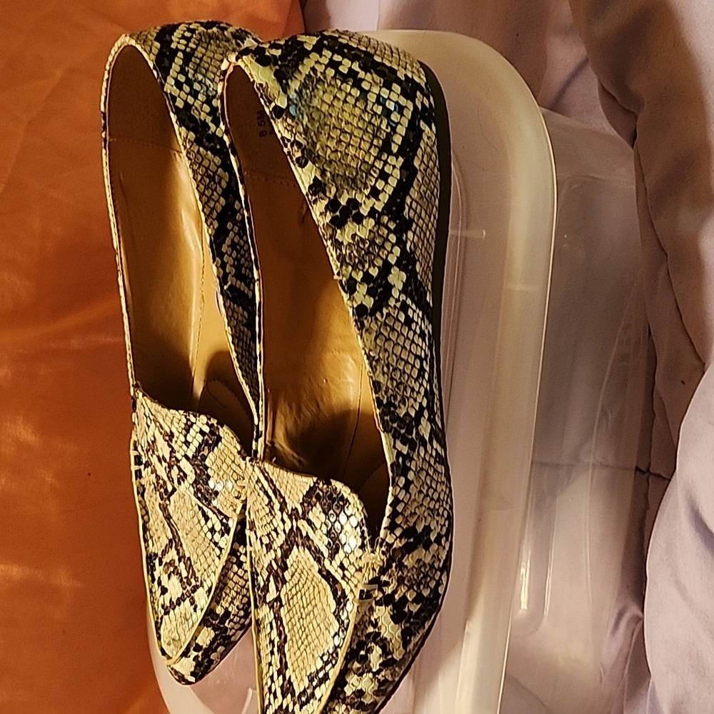 Shoe Flats